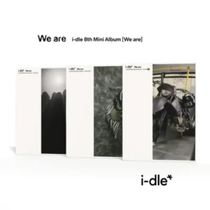 i-dle we are main