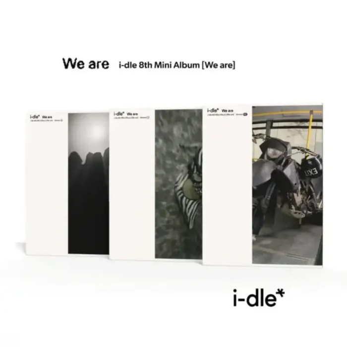 i-dle we are main