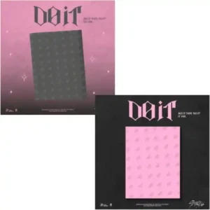 stray kids do it main