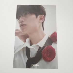 THOMAS Postcard Officielle Perla