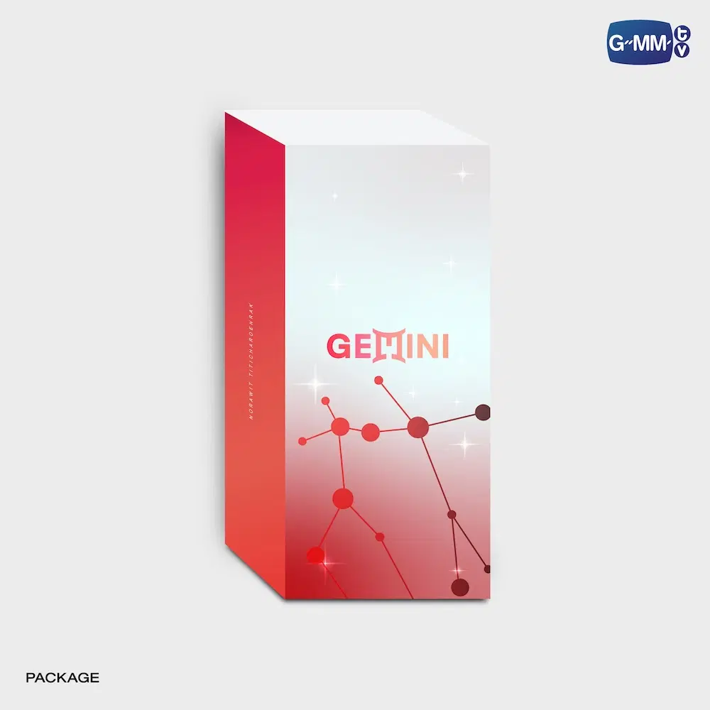 Lightstick Officiel GEMINI NORAWIT – Image 6