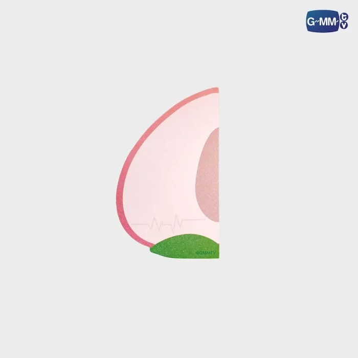 PondPhuwin – Bloc-notes PEACH AND ME